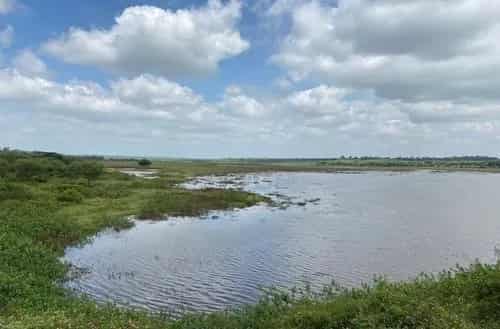 Hesaraghatta Lake