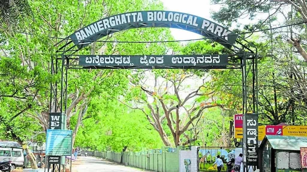 Bannerghatta National Park