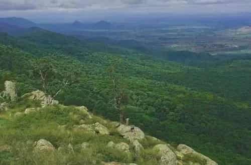 BR Hills – For Wildlife and Tranquility