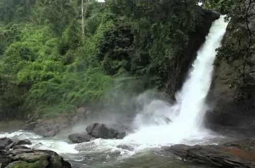 Wayanad (280 km) – Forests, Waterfalls & Wildlife