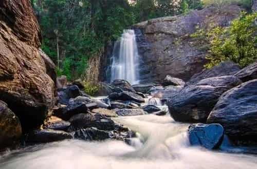 Wayanad – Waterfalls, spice plantations, and trekking