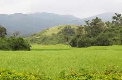 Sakleshpur – Rolling hills, coffee estates, and pleasant climate