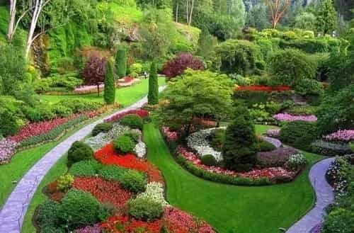 Ooty – Scenic hill station and botanical gardens