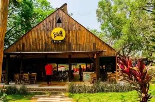 Rasta Café – Late-Night Birthday Vibes