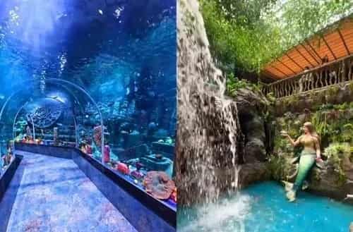 Aquarium Paradise