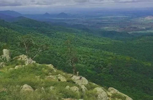 BR Hills – For Wildlife and Tranquility