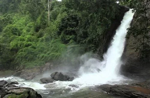 Wayanad (280 km) – Forests, Waterfalls & Wildlife