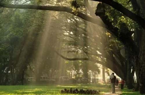 JP Park (Jayaprakash Narayan Biodiversity Park)