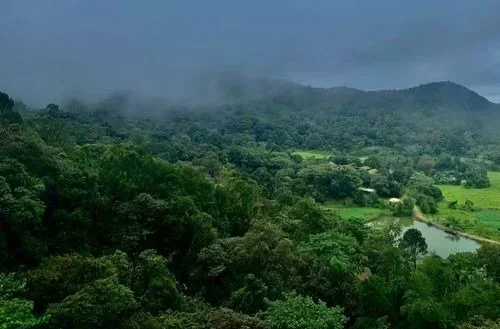 Coorg – Coffee plantations, waterfalls, and misty hills