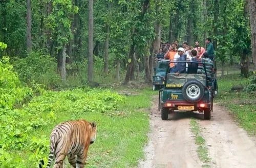 Bandipur National Park – Wildlife and forest trails