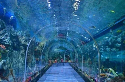 Aquarium Paradise – A Magical Underwater Birthday