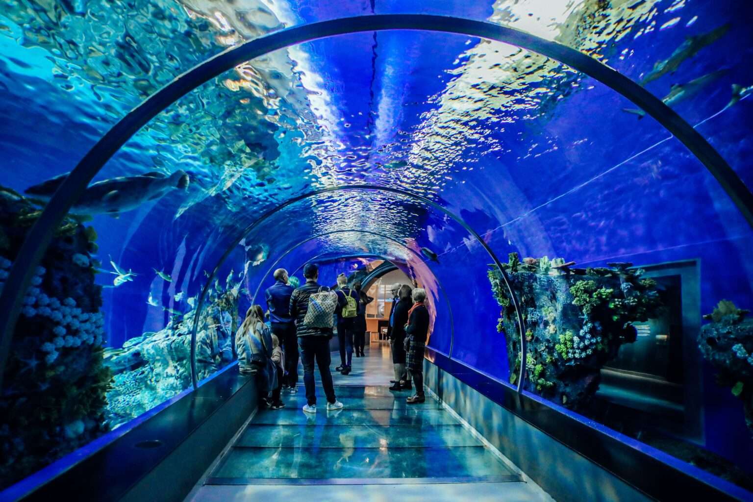 Family Visit to Underwater Zone Mysore (2026 Guide) |
