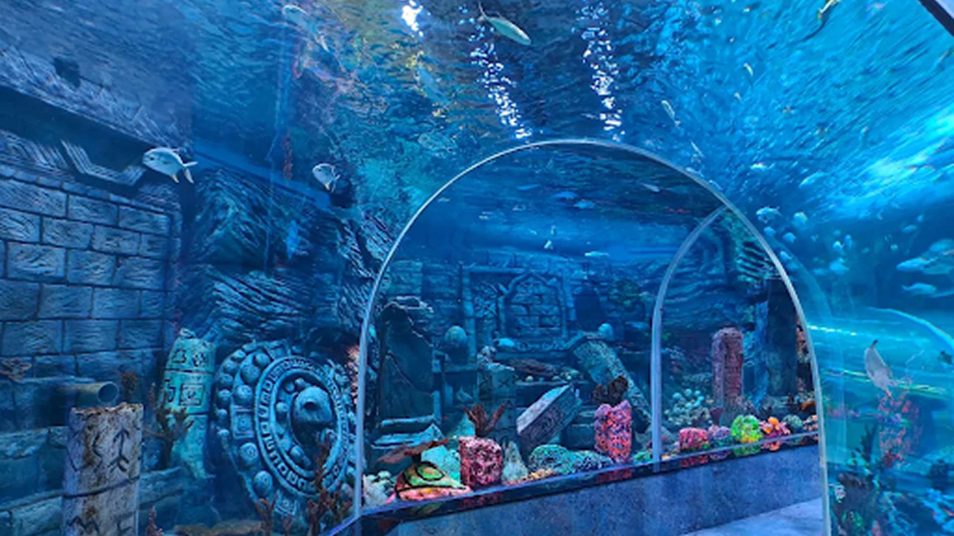 Aquarium Paradise, Bangalore