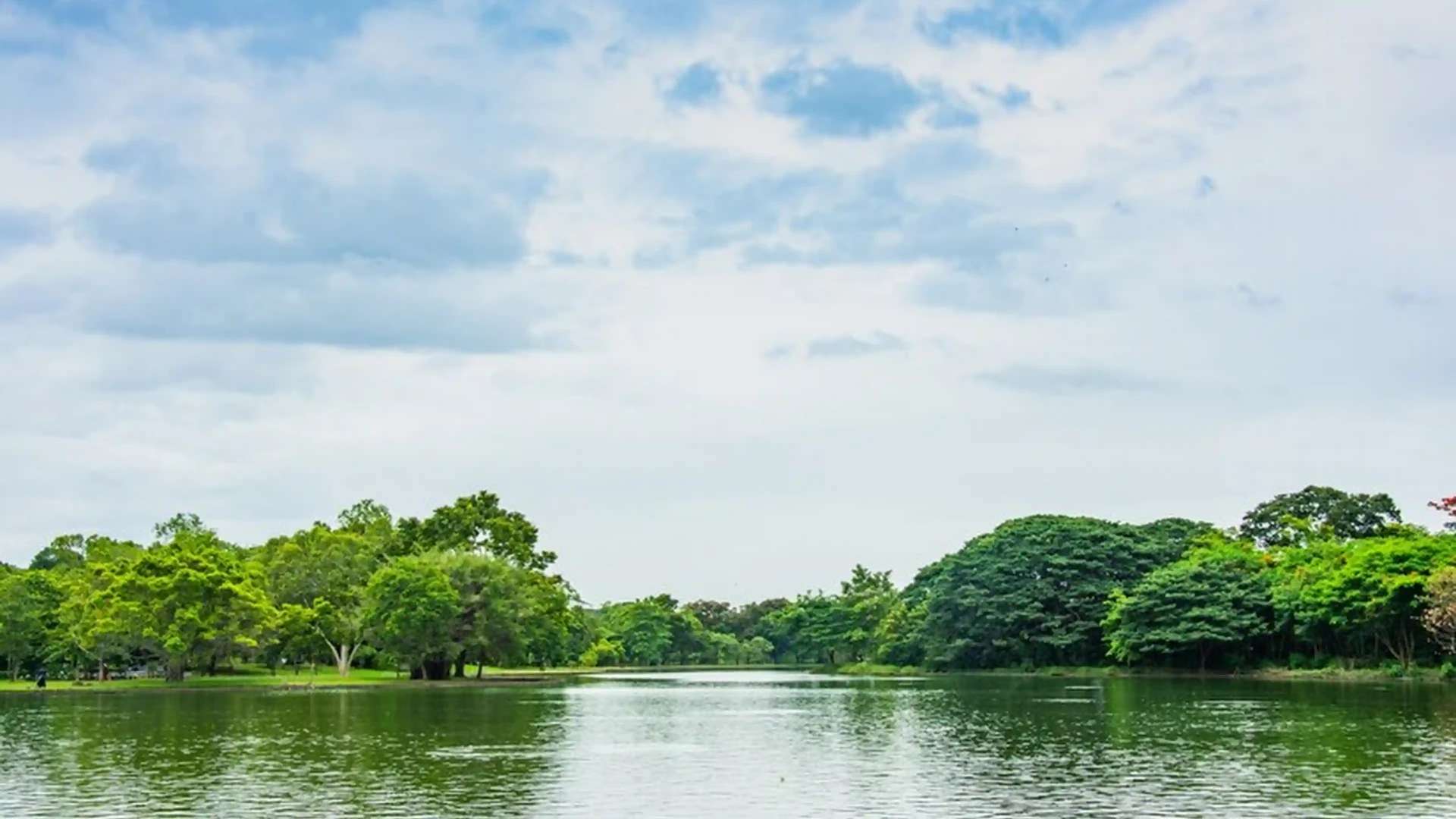 Madiwala Lake, Bangalore