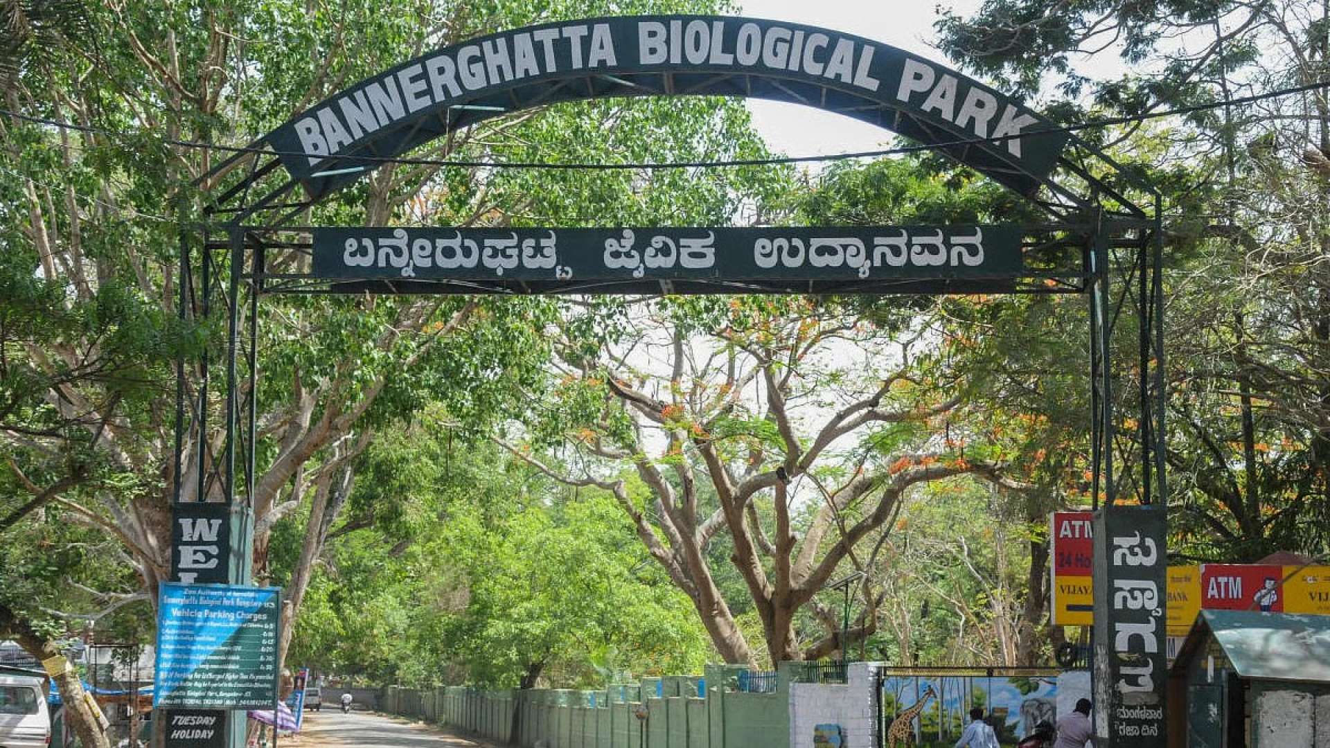 Bannerghatta Biological Park, Bangalore