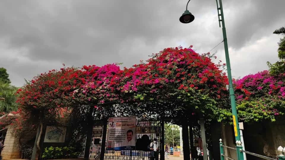 Jayaprakash Narayan Park (JP Park)