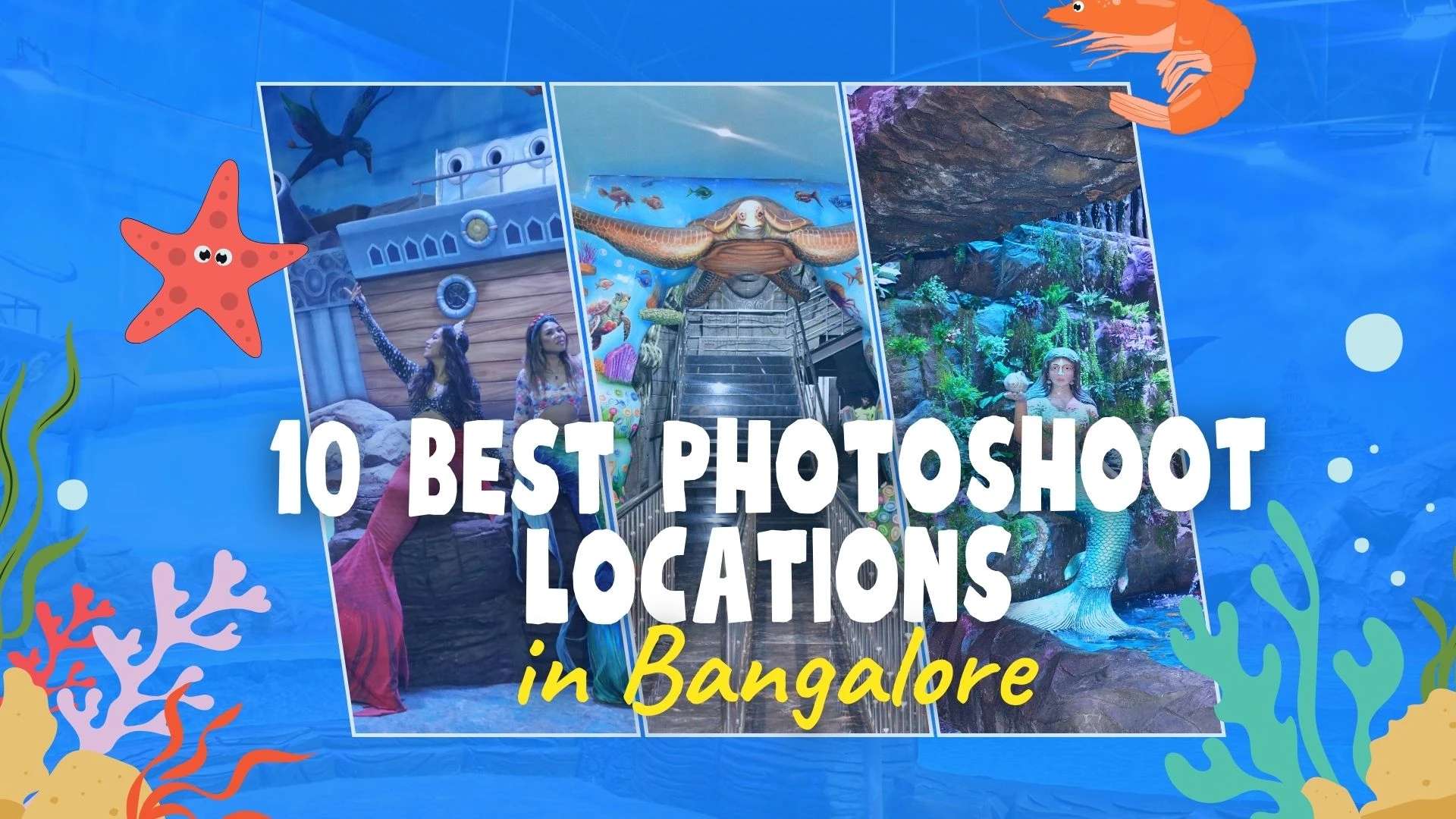 10 Best Photoshoot Locations in Bangalore in 2026