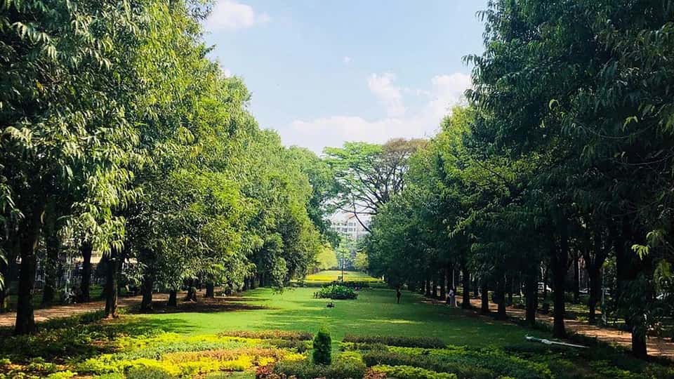 Cubbon Park