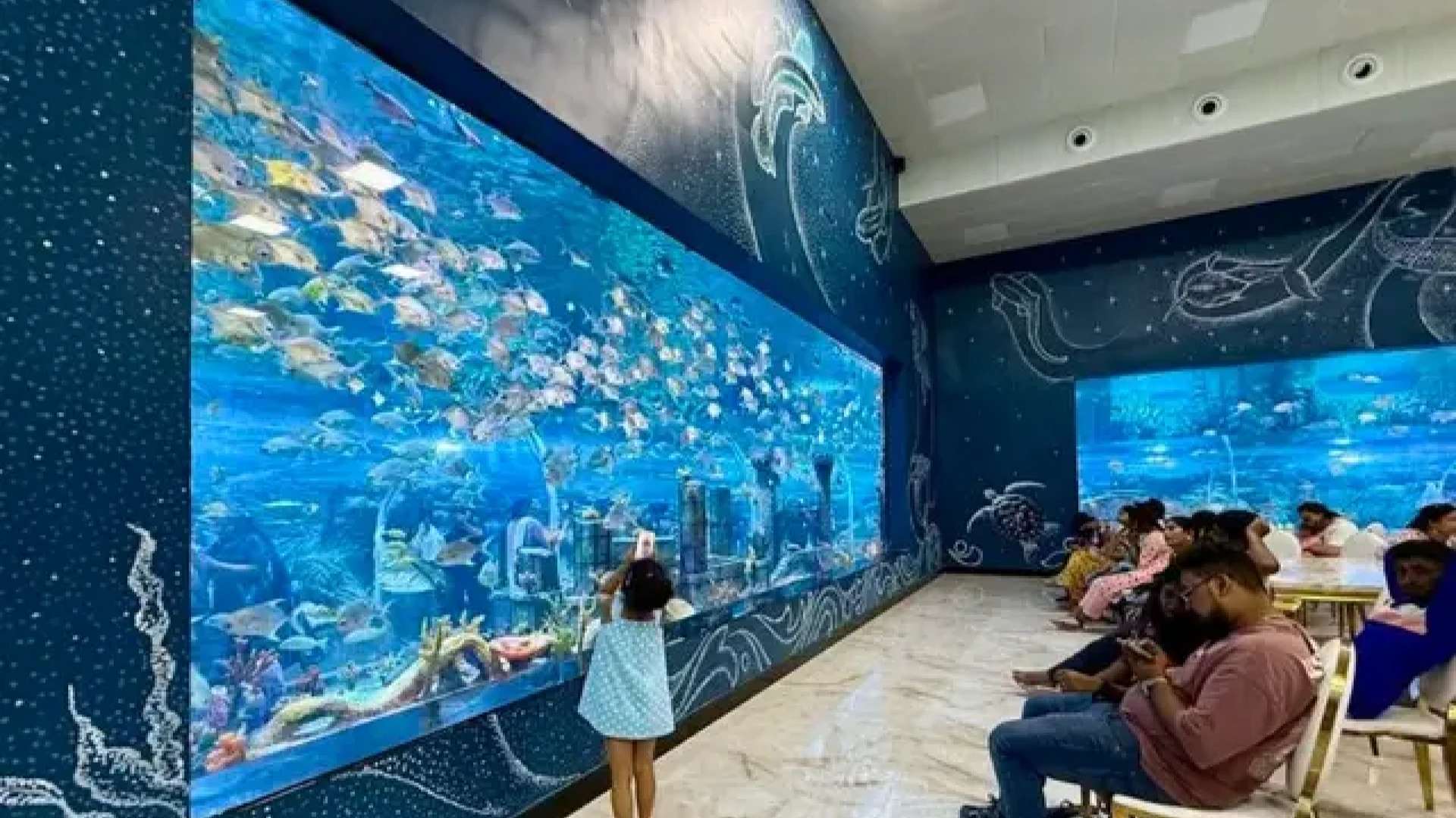 Aquarium Paradise