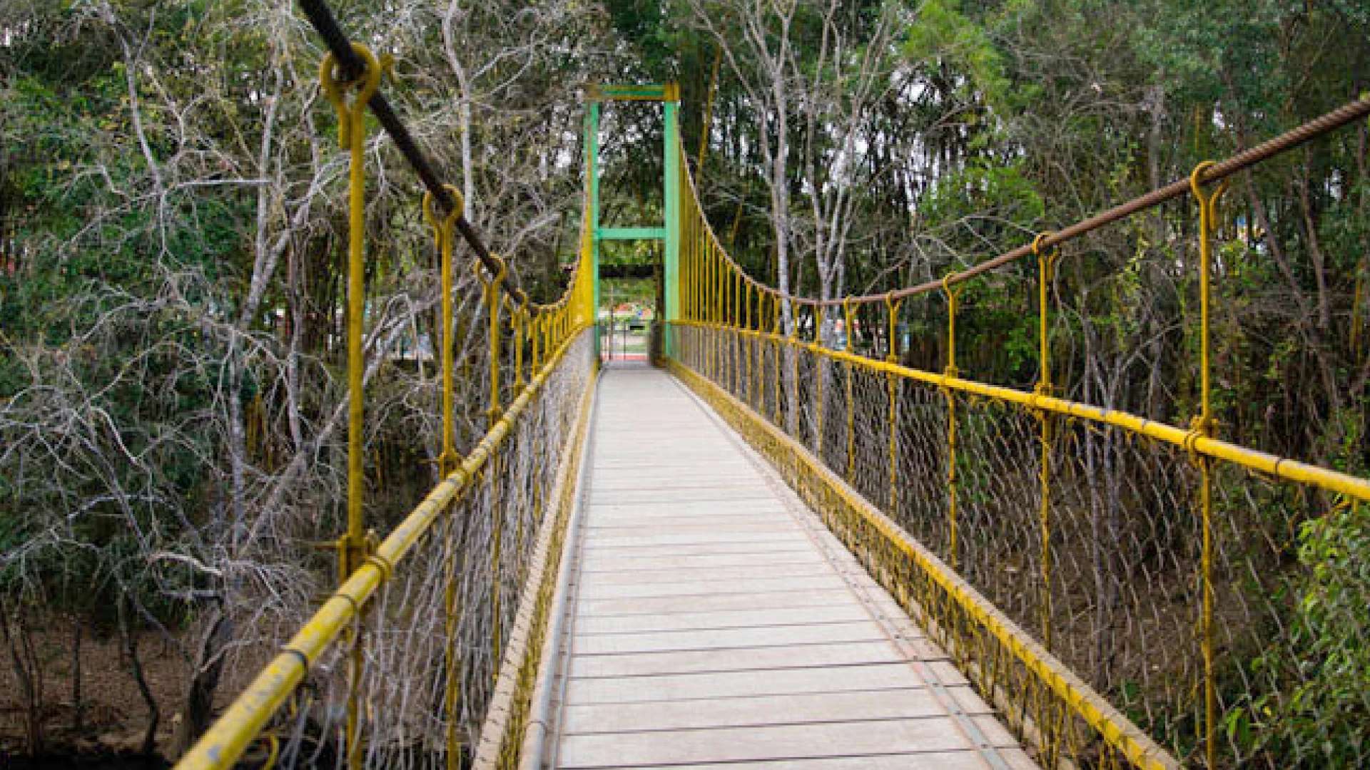 Cauvery Nisargadhama (Coorg)