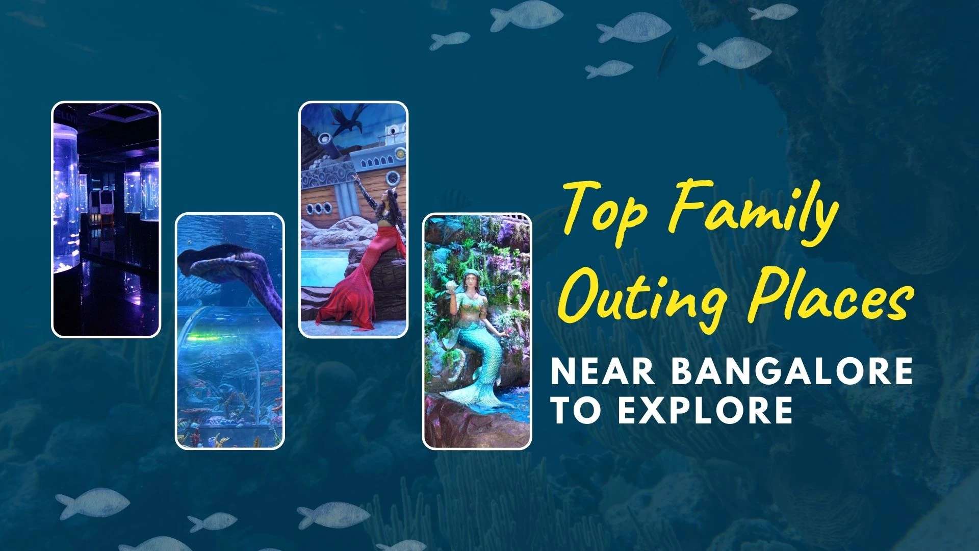 Top Family Outing Places Near Bangalore to Explore in 2026