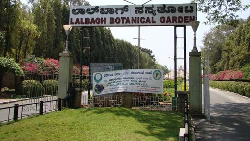 Lalbagh Botanical Garden – Nature & Learning