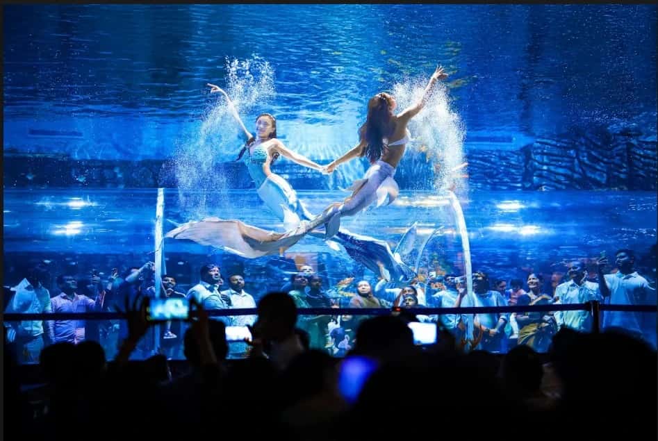 Mermaid Show