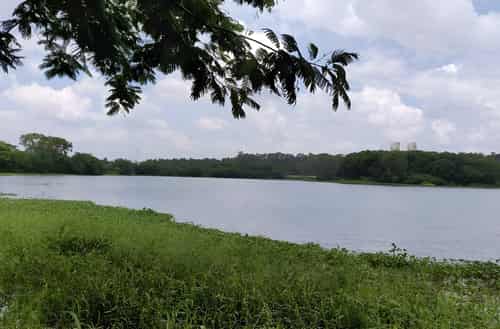 Hebbal Lake