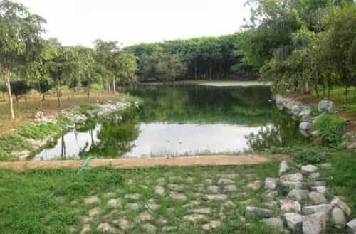 Jaya Prakash Narayana Park
