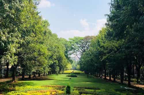 Cubbon Park