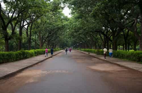 Cubbon Park