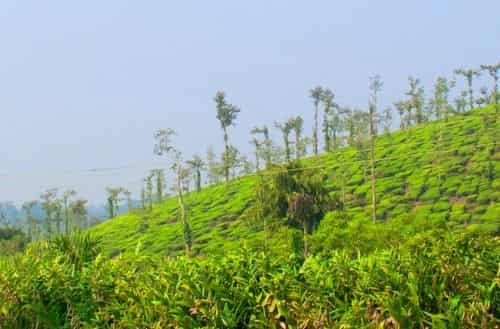 Coorg (Kodagu)