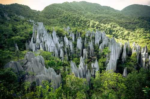 Gunung Mulu National Park – Malaysia