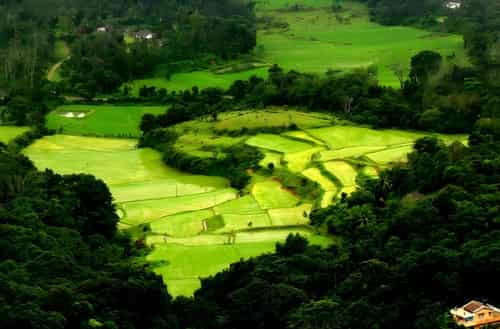 Coorg