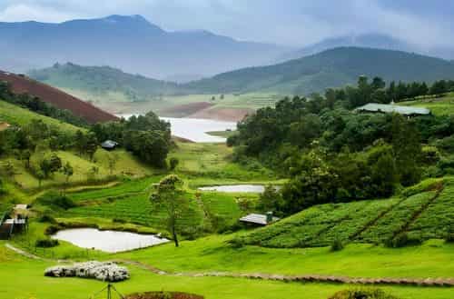 Ooty