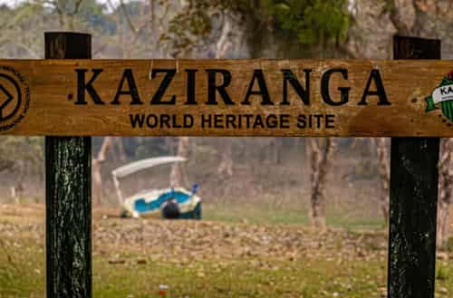 Kaziranga National Park, Assam