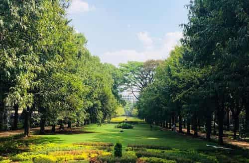 Cubbon Park - The Heart of Bangalore