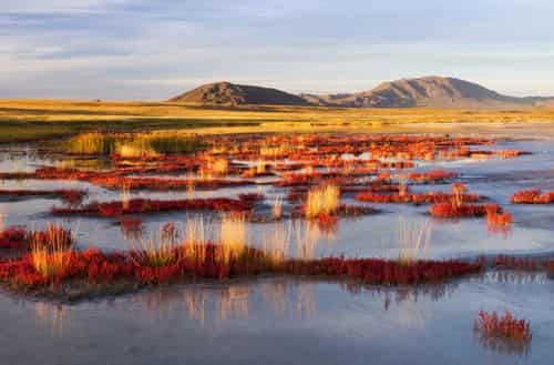 Uvs Nuur Basin – Mongolia / Russia