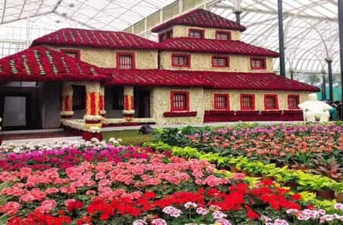 Lal Bagh Botanical Garden - Floral Bliss