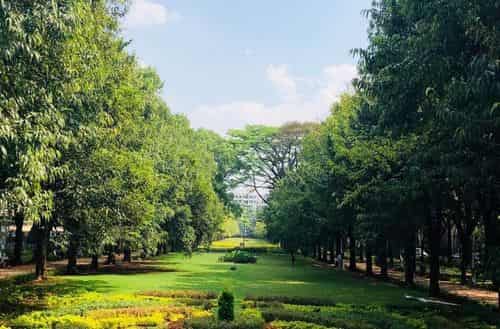 Cubbon Park
