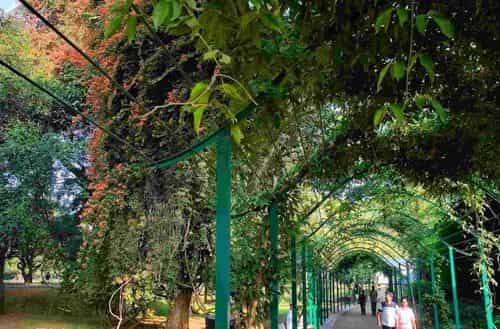 Lalbagh Botanical Garden