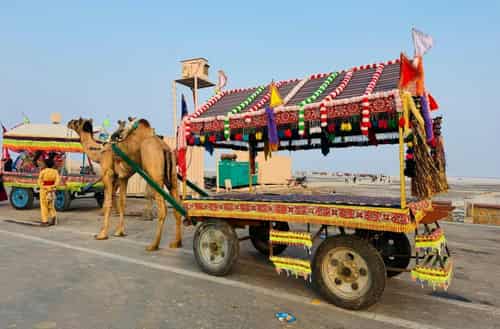 Rann of Kutch, Gujarat