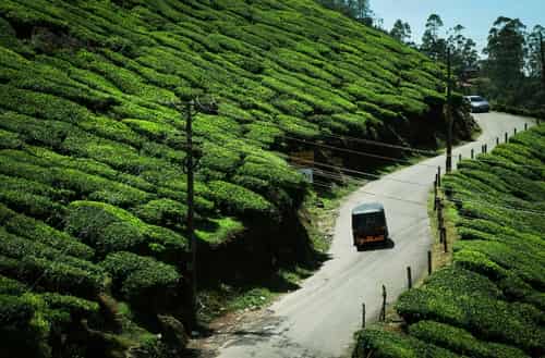 Periyar & Gavi, Kerala