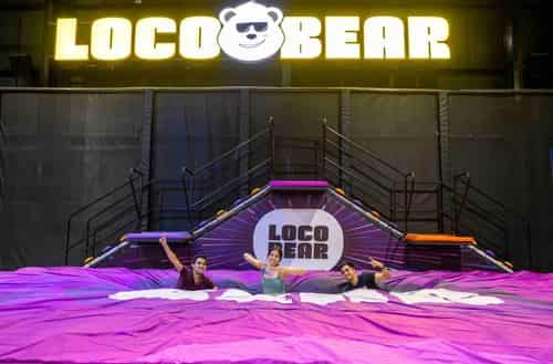Loco Bear
