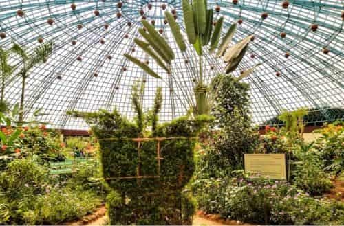 Butterfly Park