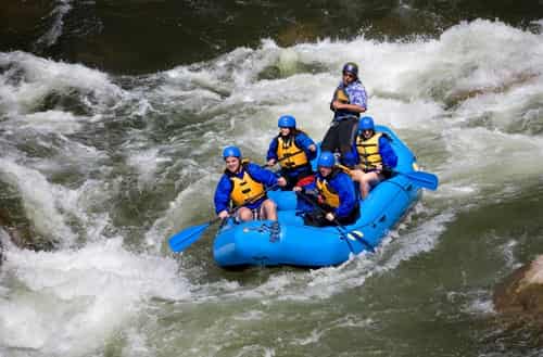 Dandeli