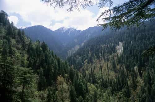 Great Himalayan National Park – India