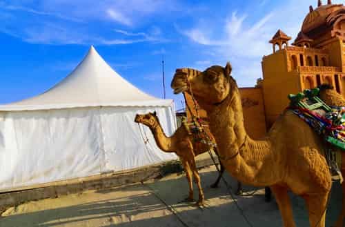 Rann of Kutch, Gujarat