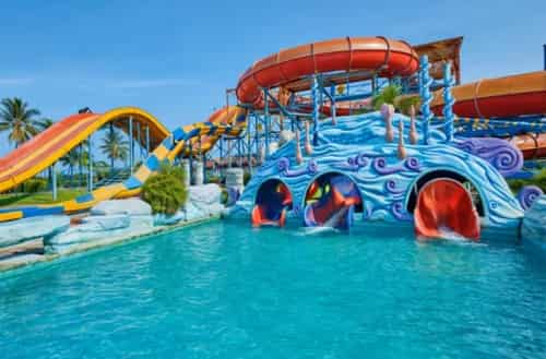 VGP Universal Kingdom