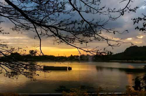 Sankey Tank - Sunset Serenity